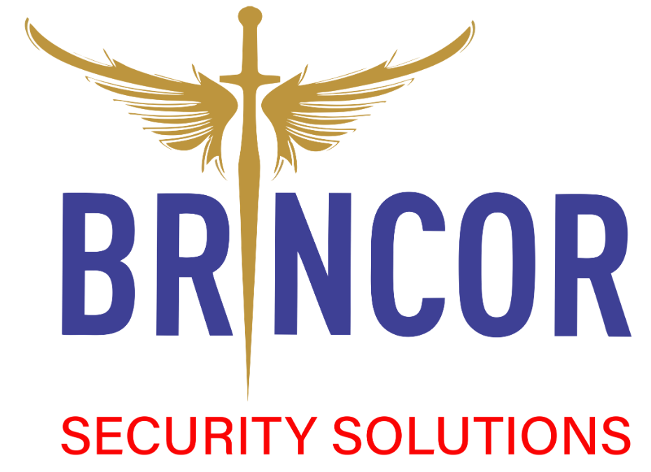 Brincor Security Solutions 